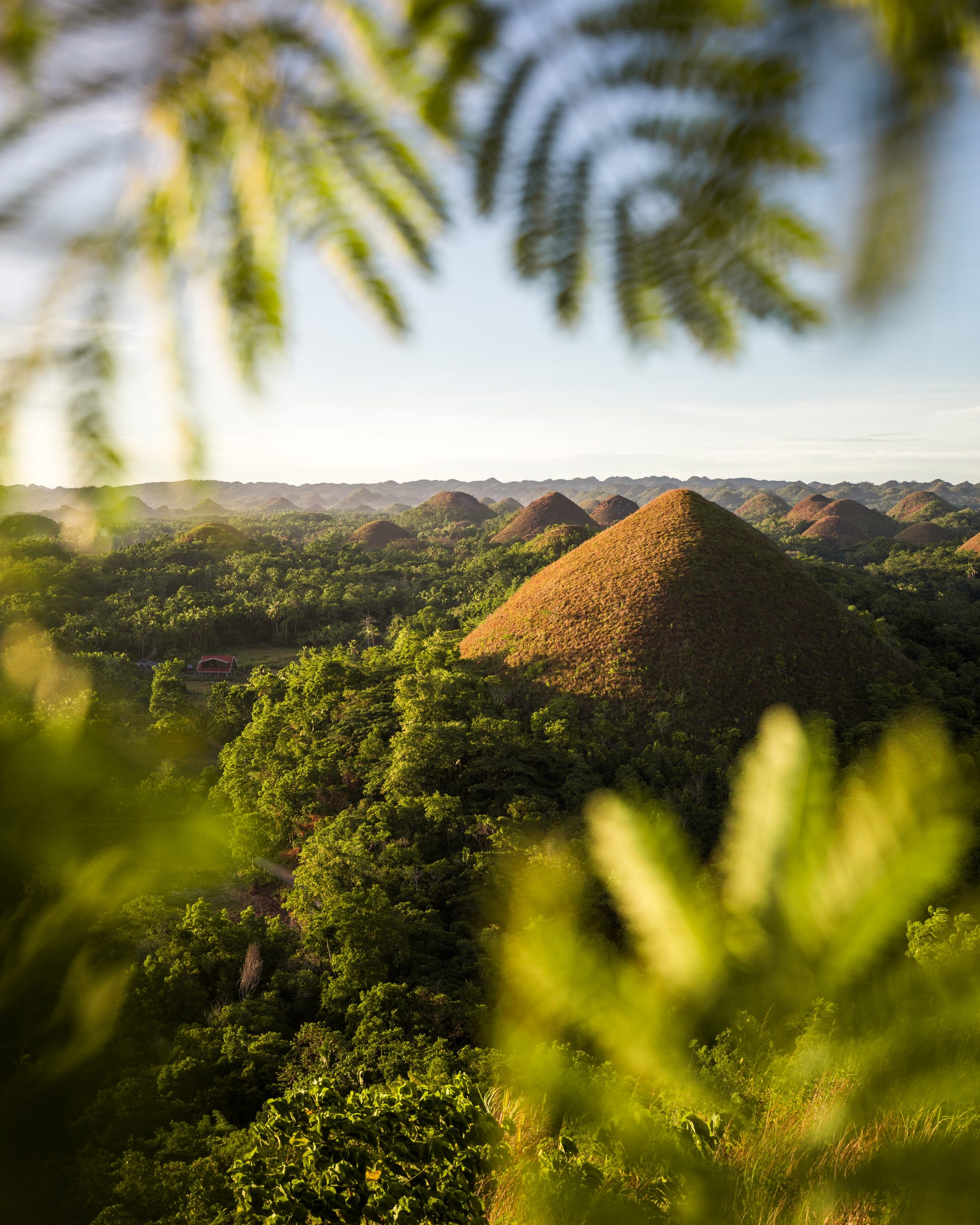 Bohol Chocolate Hills -DOT ©Jacob Riglins