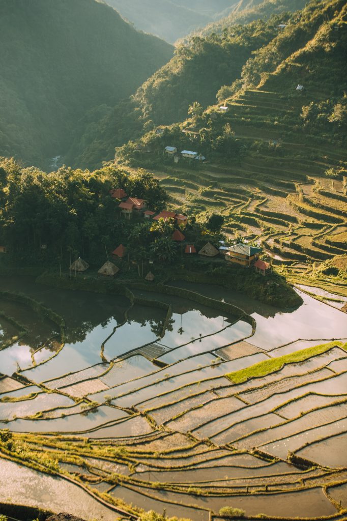Reisfelder von Batad in North Luzon ©Philippine Department of Tourism