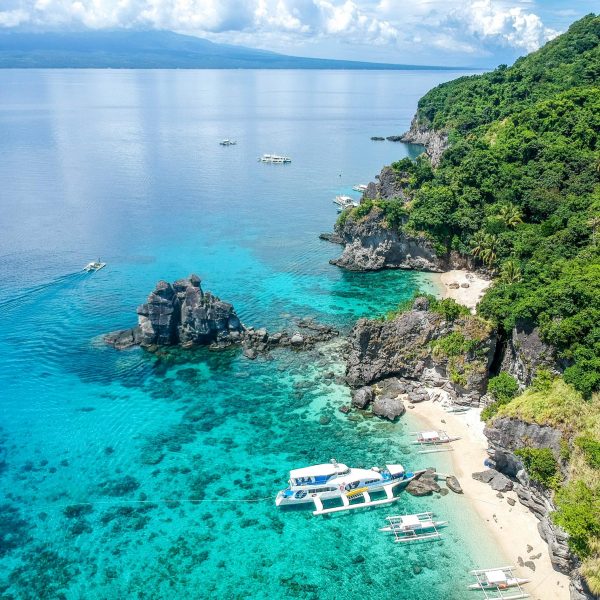 apo island vor negros beste reisezeit für die philippinen