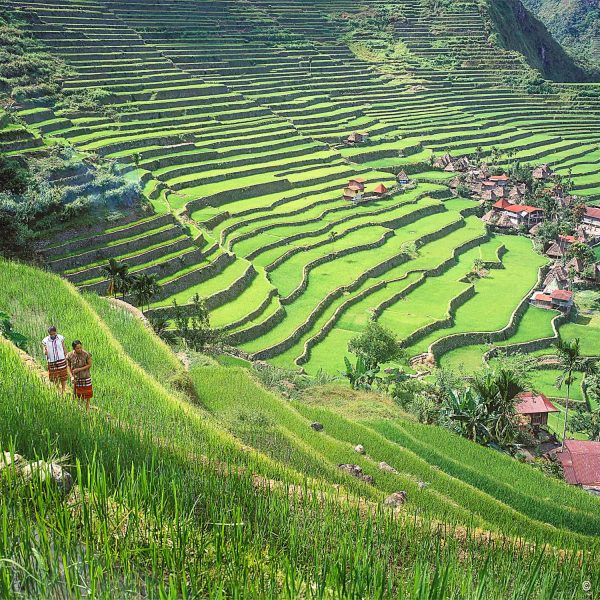 Reisfelder von Batad -Philippines DOT ©George Tapan