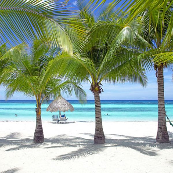 Traumstrand bei Panglao Island mit Palmen und Hängematten © Philippine Department of Tourism